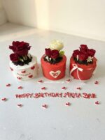 Three Cake on a Tray - Cake Trio